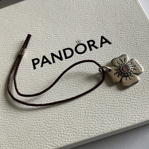 Pandora Silver and Brown Flower Bracelet - Picture 4 of 4